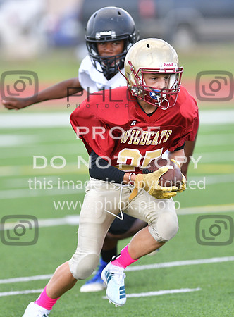 TOM_6967