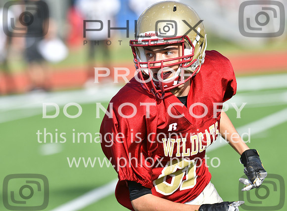 TOM_7115