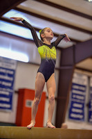 Discover Gymnastics