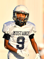 9 Sean Carter Spotlight W9