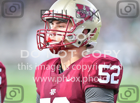 TOM_3102