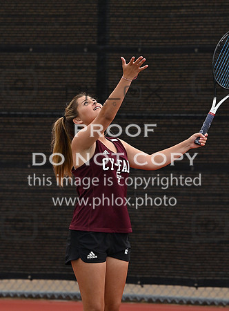 DLS_3015