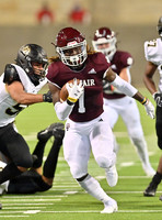 DLS_7519