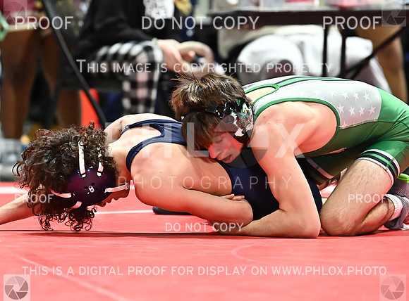 DLS_8542