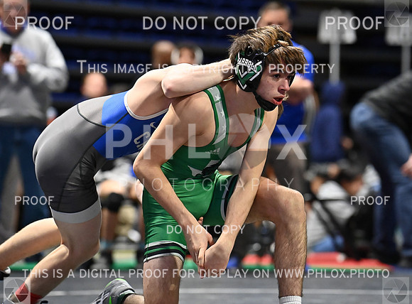 DLS_9290