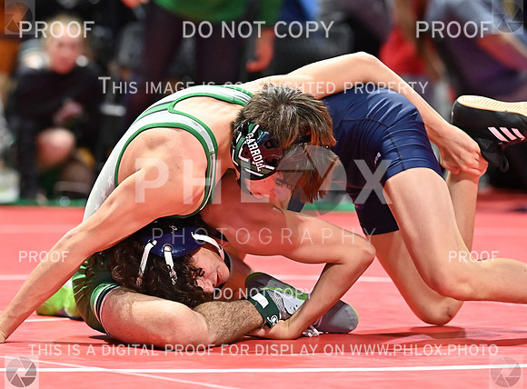 DLS_8565