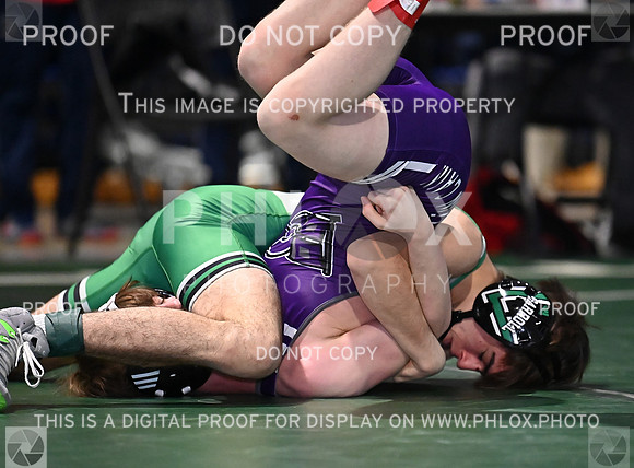 DLS_8119