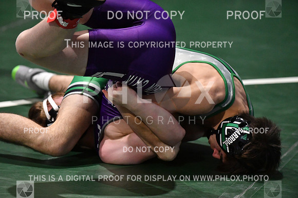 RAY_0051