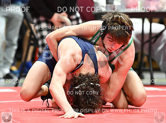 DLS_8544