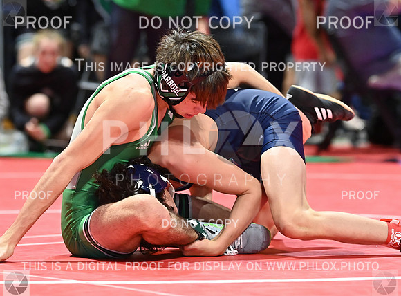 DLS_8564