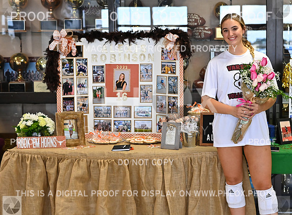 DLS_4220