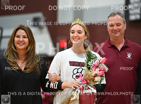 DLS_4466