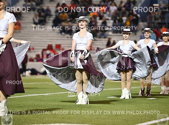 DLS_1007