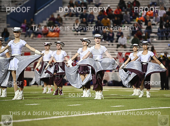 DLS_0944