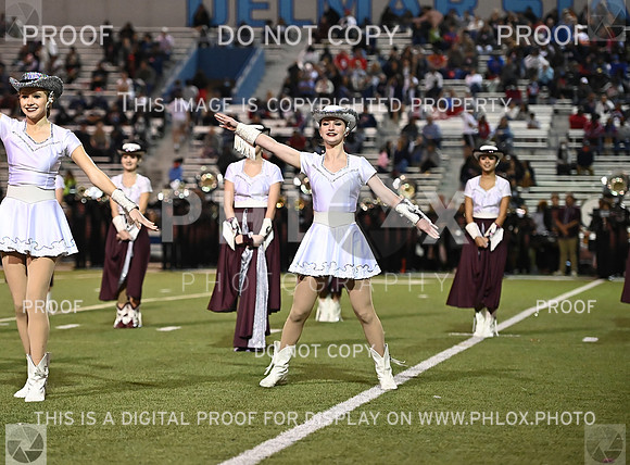 DLS_0887