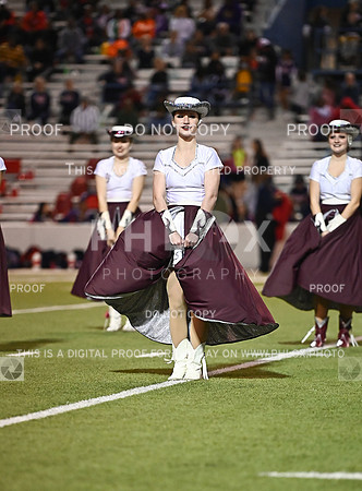 DLS_0980