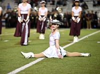 DLS_0919