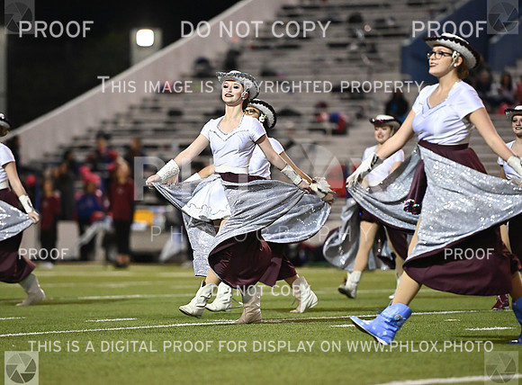 DLS_0951