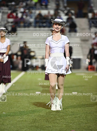 DLS_0827