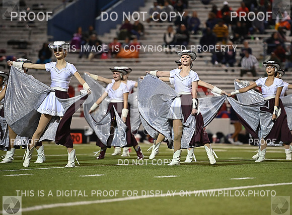 DLS_0935