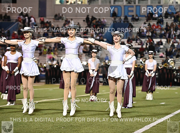 DLS_0873