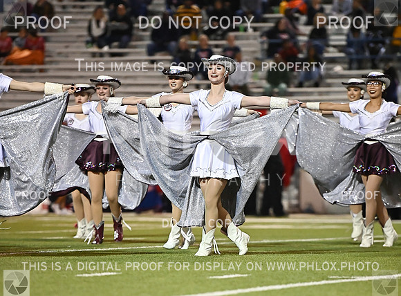 DLS_0931