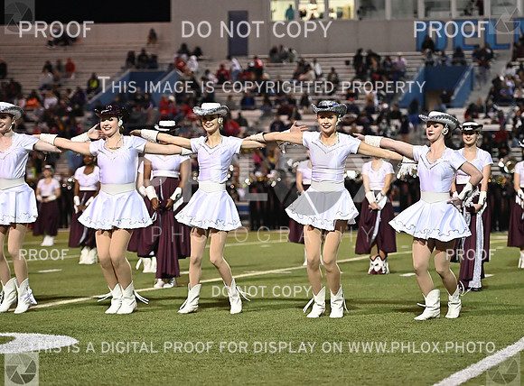 DLS_0862