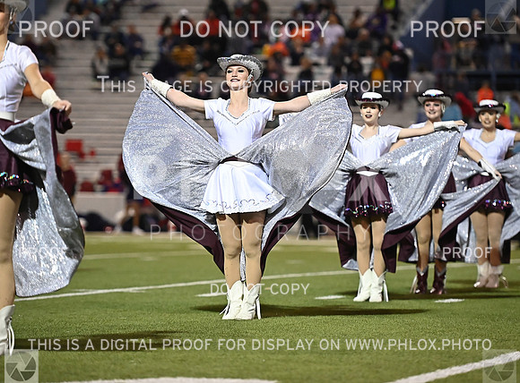 DLS_1004