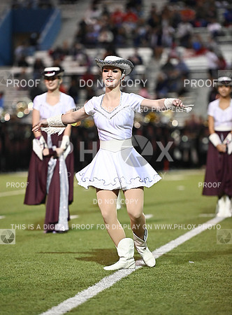 DLS_0902