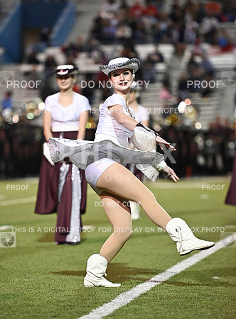 DLS_0906