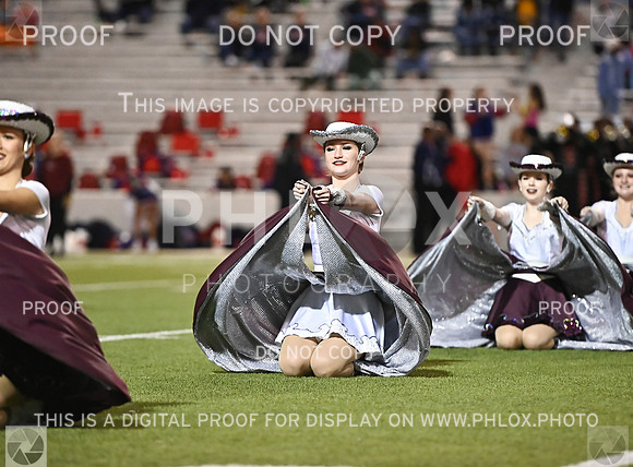 DLS_0991
