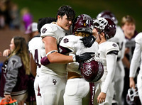 DLS_5038