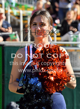 ND5_6459