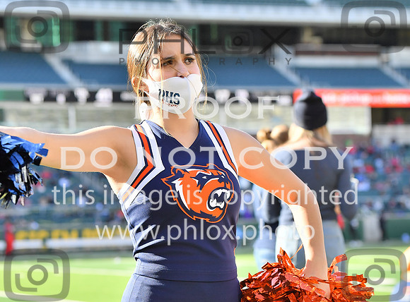 ND5_6842