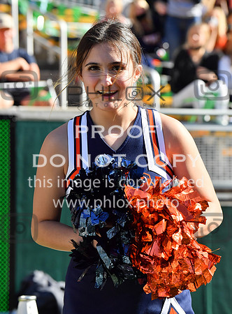 ND5_6461