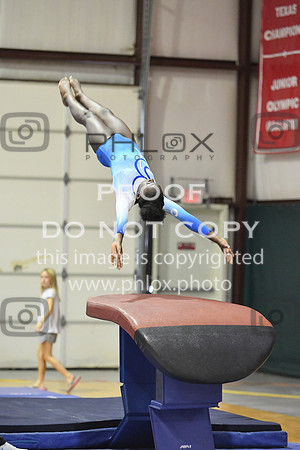 D85_0471