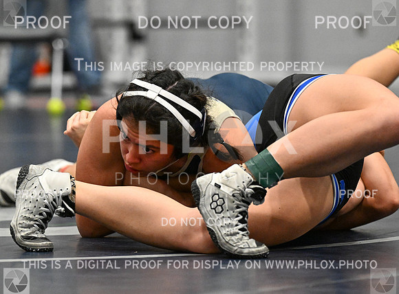DLS_2485