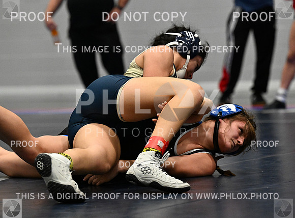 DLS_2501