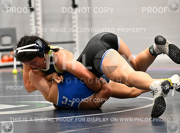 DLS_2479