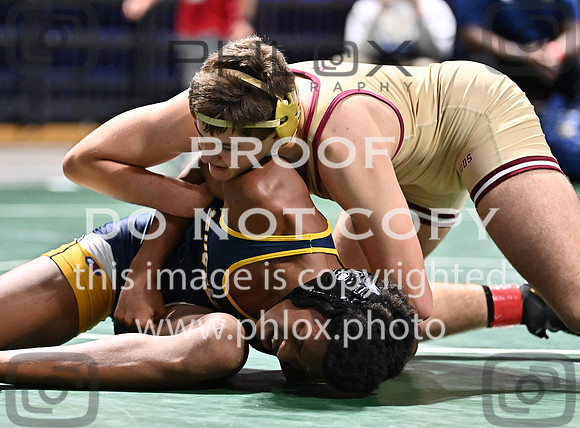 DLS_3416