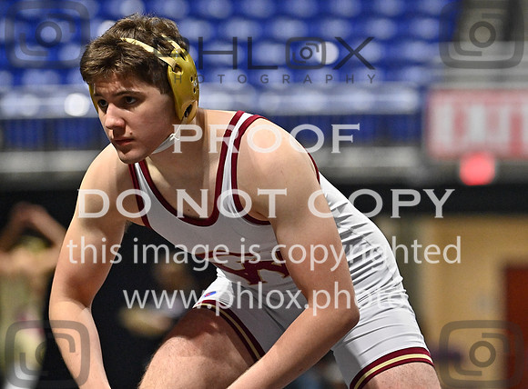 DLS_5023