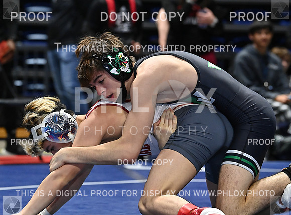 DLS_0081
