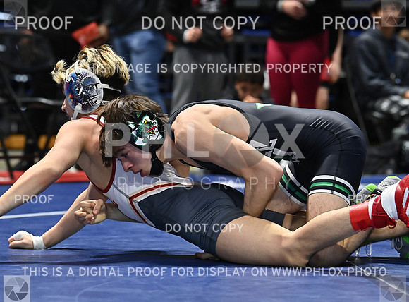DLS_0079