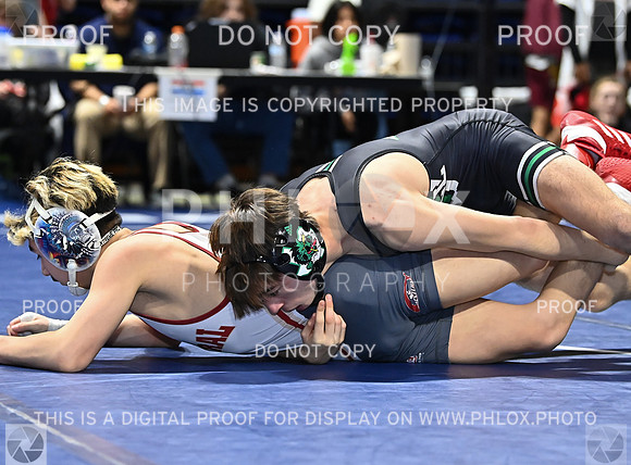 DLS_0077