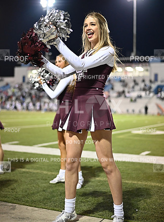 DLS_0264