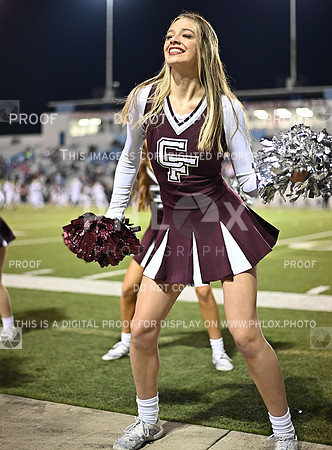 DLS_0239