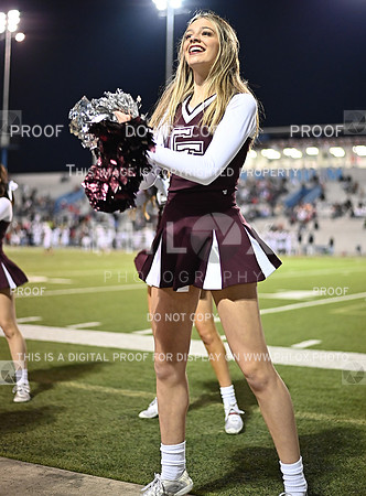 DLS_0197