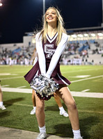 DLS_0195