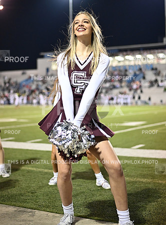 DLS_0195