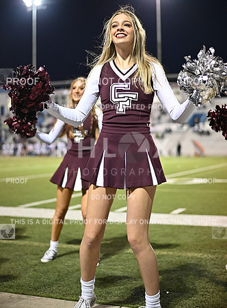 DLS_0279